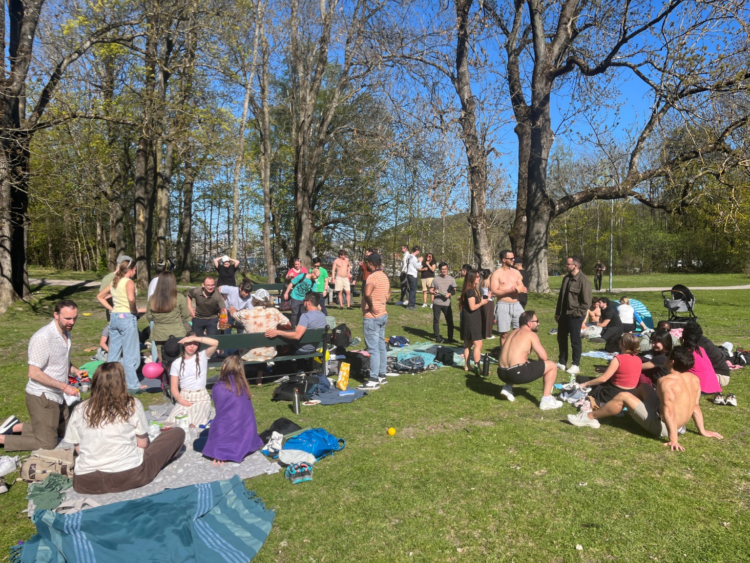 Social! members enjoying a sunny outdoor gathering